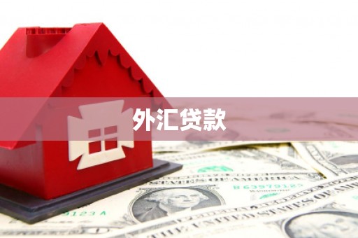 逊克外汇贷款