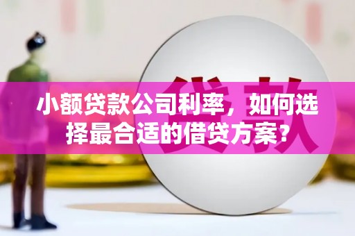 逊克小额贷款公司利率，如何选择最合适的借贷方案？
