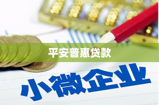 逊克平安普惠贷款