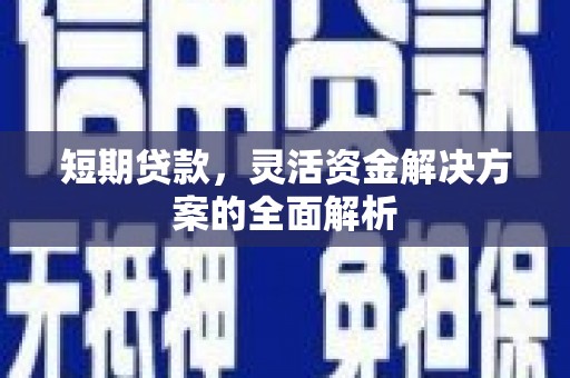 逊克短期贷款，灵活资金解决方案的全面解析