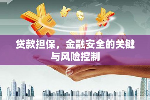逊克贷款担保，金融安全的关键与风险控制