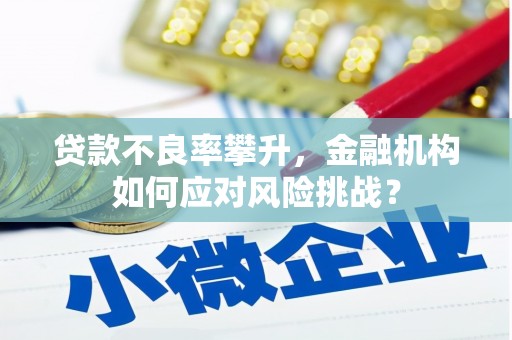 逊克贷款不良率攀升，金融机构如何应对风险挑战？