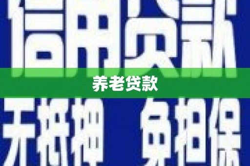 逊克养老贷款