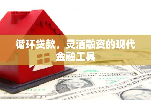 逊克循环贷款，灵活融资的现代金融工具
