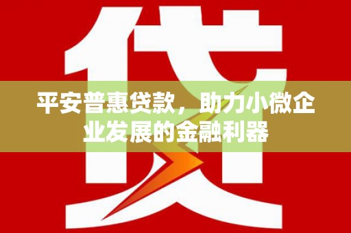 逊克平安普惠贷款，助力小微企业发展的金融利器