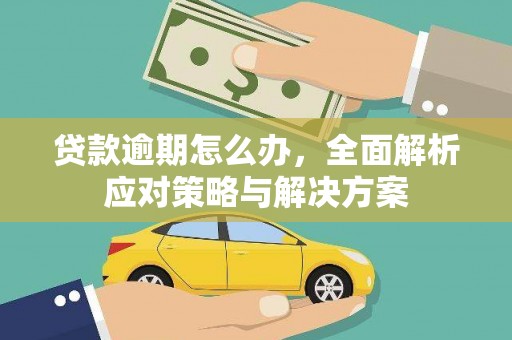 逊克贷款逾期怎么办，全面解析应对策略与解决方案